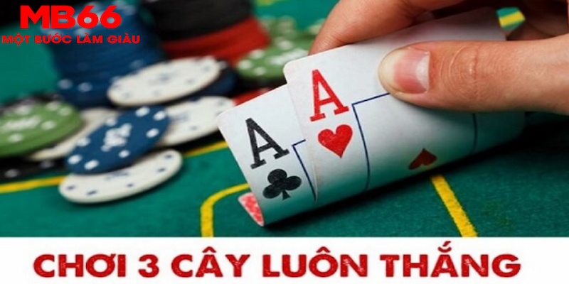 bet365 es SA Trực Tuyến