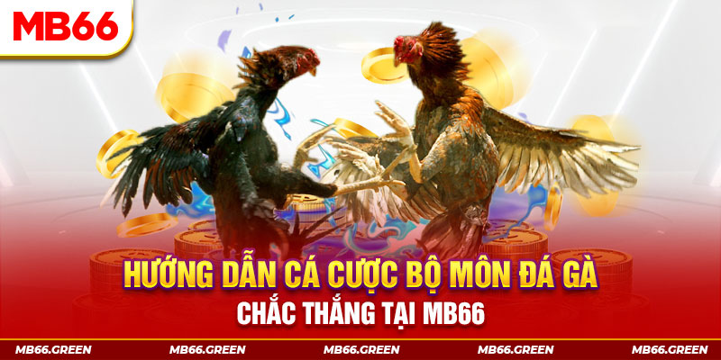 bet365 es CQ9 Điện Tử