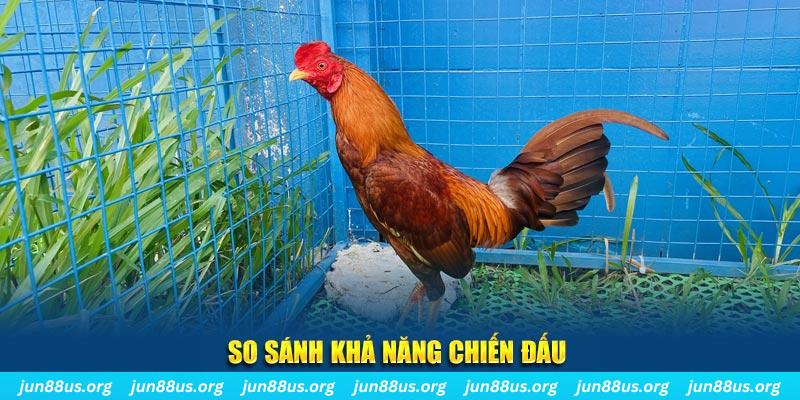 bet365 es xổ số tiền giang