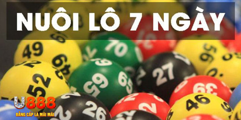 bet365 es IM Thể Th