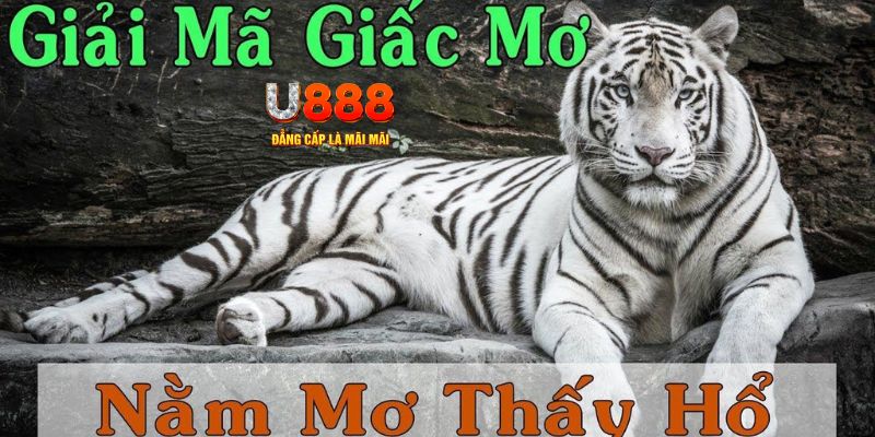 bet365 es xổ số kiến thiết miền bắc