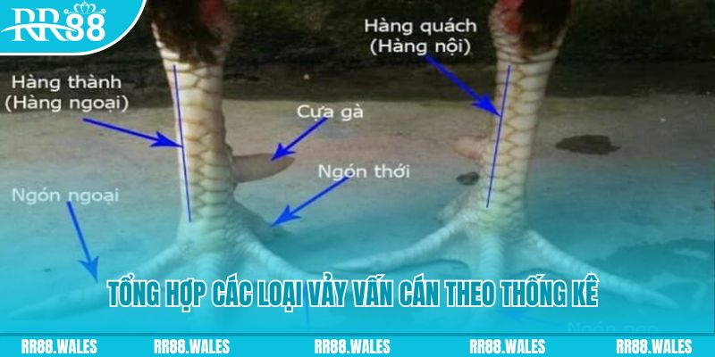 bet365 es nổ hũ chơi như thế nào