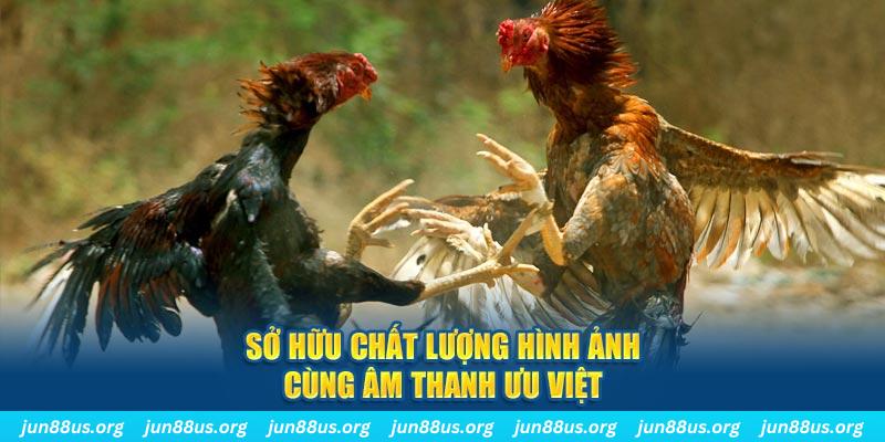 bet365 es tai game danh bai ve may tinh