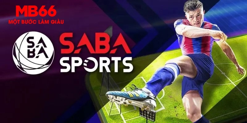 bet365 es how to win baccarat