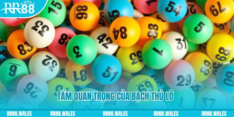 bet365 es đá gà trực tiếp casino