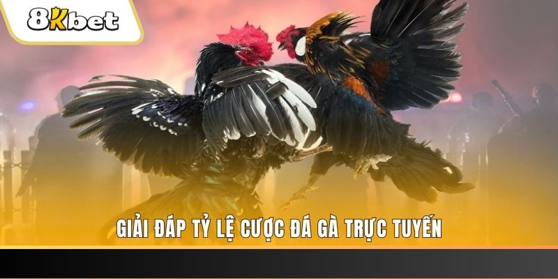 xổ số ba đài