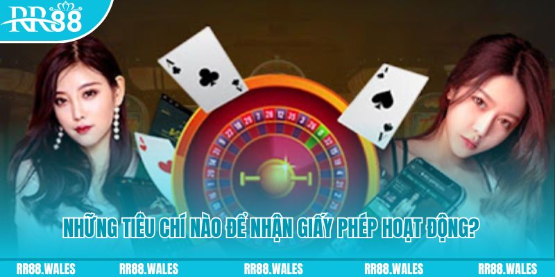 bet365 es casino ở đâu