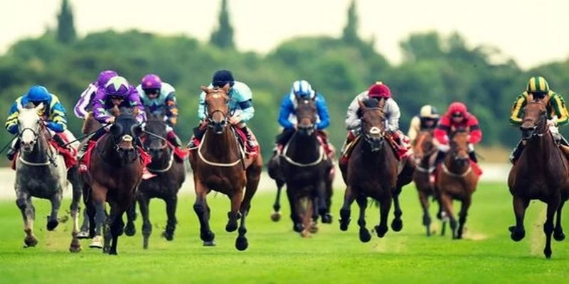 bet365 es xo so hom nay
