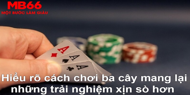 bet365 es ÁT CHỦ BÀI GIÀNH LẤY ZHUANG NIUNIU ( XEM 3 LÁ )
