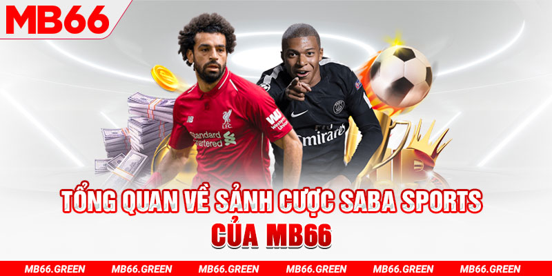 bet365 es slot có nghĩa là gì