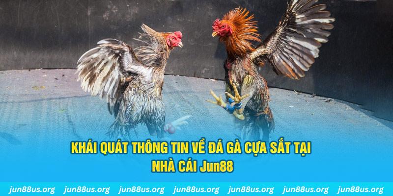 bet365 es game bài trên máy tính