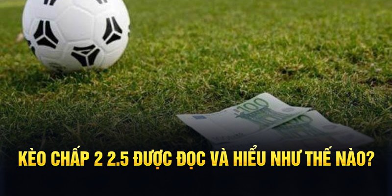 bet365 es đá gà thomo