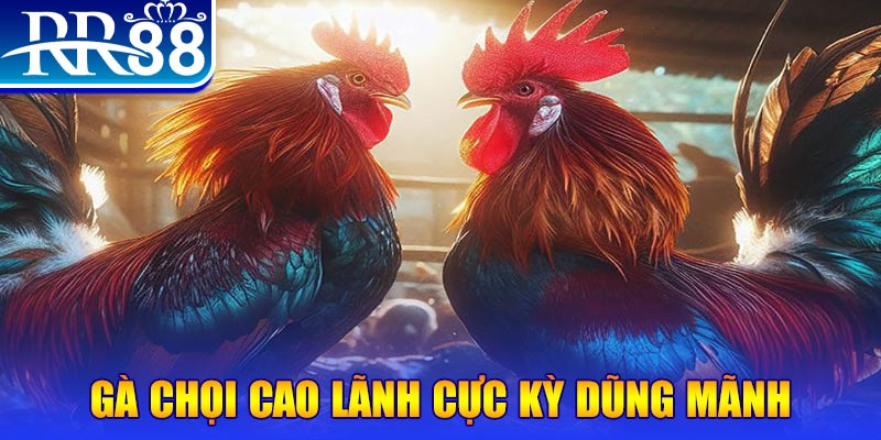 bet365 es natural” trong baccarat nghĩa là gì？